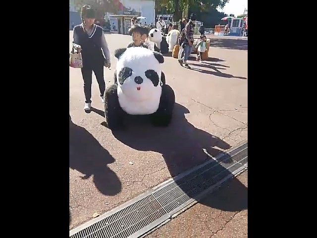 パンダの乗り物 Youtube