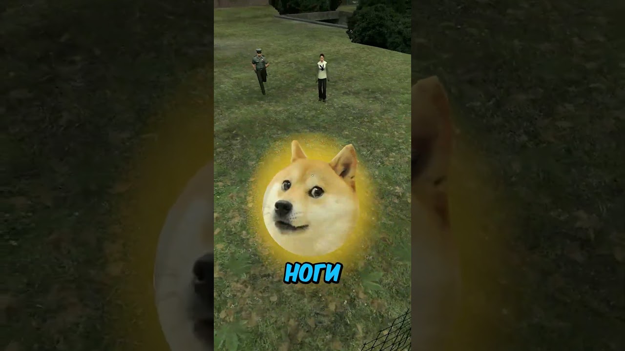 Ограбил на 5к ДОГИ