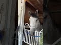 90% focused 🫡 10% silly 🤪 #kentuckyderby