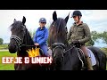 We ride mother Uniek and daughter Eefje. And we change horses. Friesian Horses