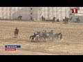 В Кыргызстане проходят Всемирные игры кочевников. Панорама