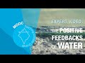 The Impact of Ice on Climate Dynamics and Feedback Mechanisms
