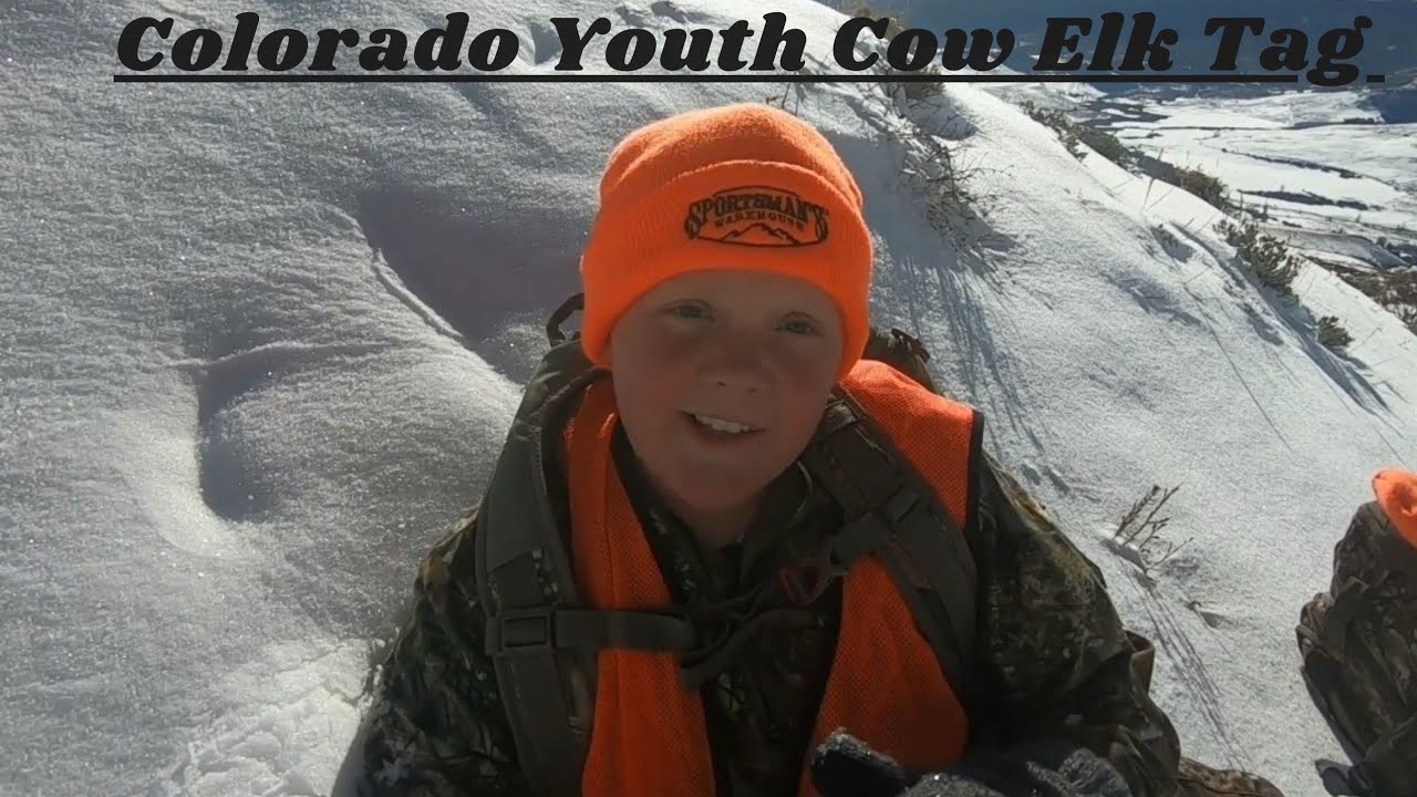 Colorado Elk Hunt Youth Cow Tag 2021 YouTube