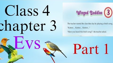 “CLASS 4 EVS | CHAPTER 3 | WINGED BUDDIES | ENVIRONMENTAL SCIENCE  | SCERT | KERALA SYLLABUS | 