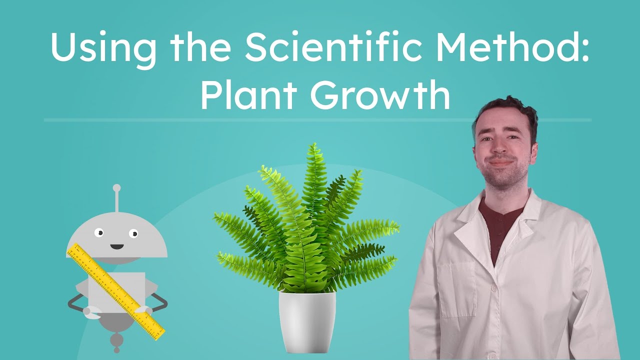 Using The Scientific Method Plant Growth Structures Of Science For using-the-scientific-method-plant-growth-structures-of-science-for