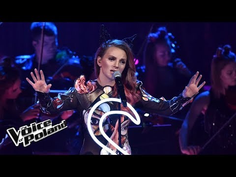 Sarsa - „Motyle i ćmy” - Live 2 - The Voice of Poland 8