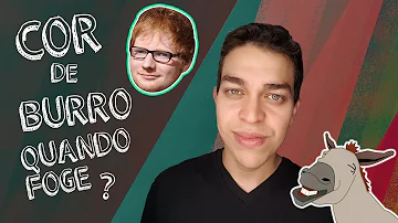 Que cor é de burro quando foge?