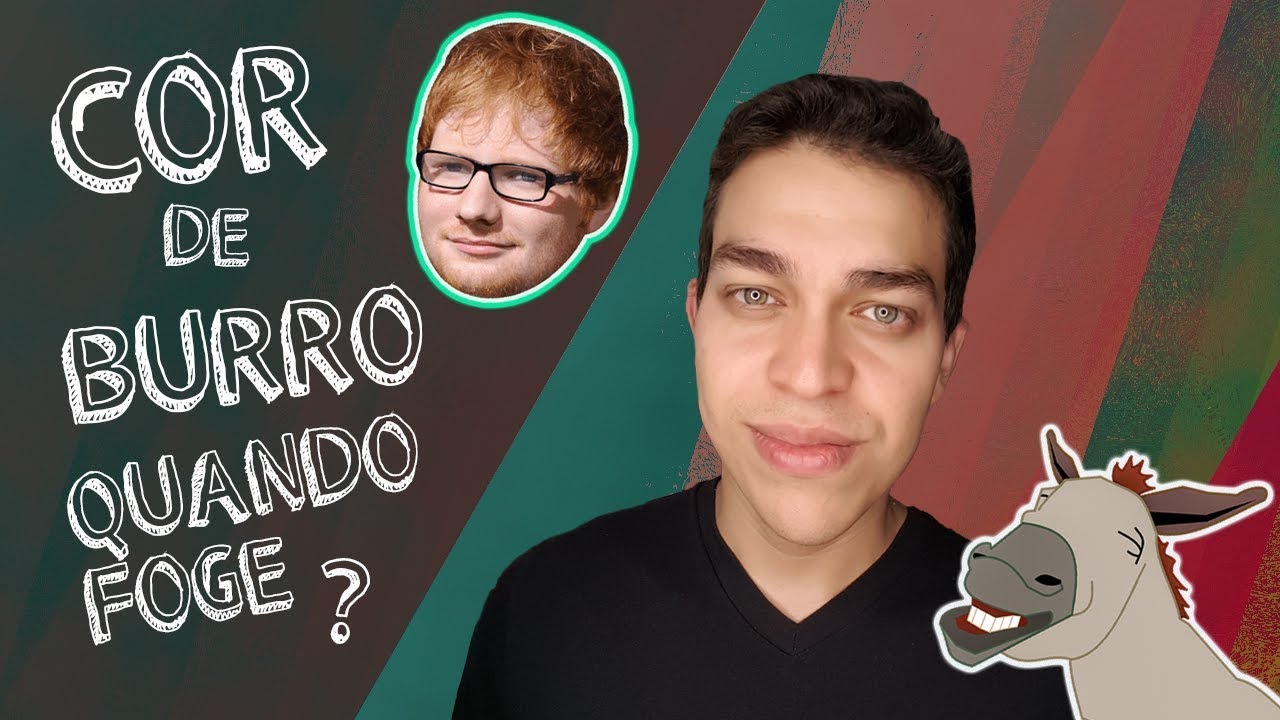 COM A CORDA TODA + COR DE BURRO QUANDO FOGE - EXPRESSÕES POPULARES ...