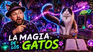 La magia de los Gatos | EP 052