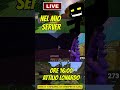 Live Sul Mio Server Minecraft Alle 16:00