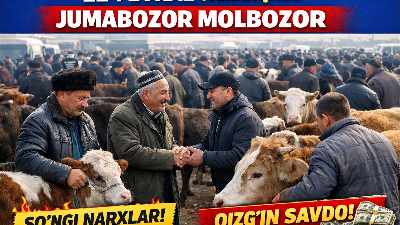 Kichkina Buqa Va G'unojinlar Tayloq tumani Jumabozor Molbozor