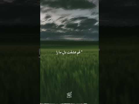 تمام روز داشتم زیر لب این شعر رو زمزمه می کردم