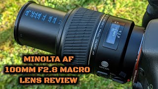 Minolta AF 100mm F2.8 Macro (D): Lens Review