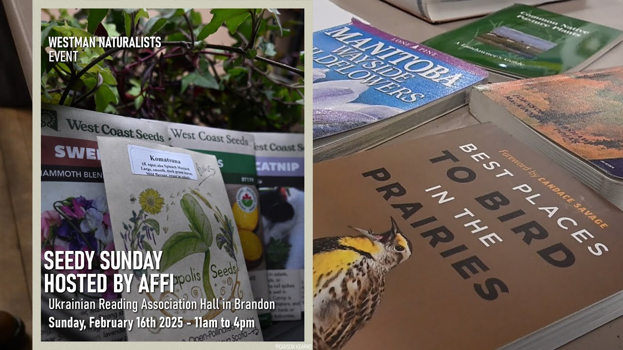 Westman Naturalists | Seedy Sunday - 2025