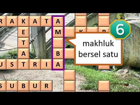 Video: Siapa yang meniru petunjuk teka-teki silang lainnya?