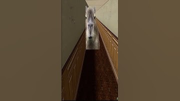 Capybara Nextbot in the halls Gmod