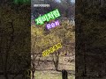 윤승희 제비처럼 윤승희 제비처럼