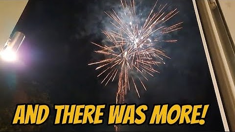 More fireworks again tonight! Those poor animals 😢  #fox #wildlife #cute #fyp #viralvideo 