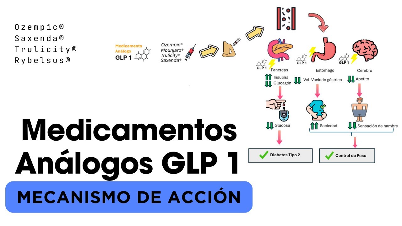 análogos de glp 1 💊 Mecanismo de acción de Medicamentos Análogos GLP 1:💉 Ozempic ®, Saxenda  ®, Rybelsus ® y otros