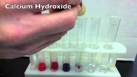 Acids & Bases Activity using Universal Indicator Solution