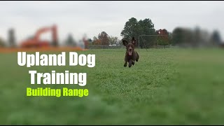 Upland Bird Dog Training | Building Range