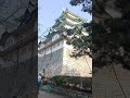 Nagoya Castle Japan #nagoyacastle #nagoyajapan #April072022
