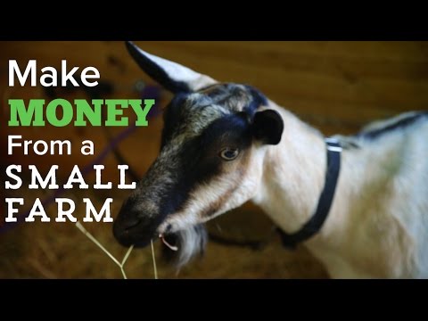 Video: How To Make Money On Your Farm