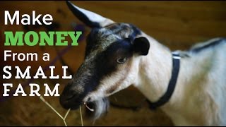 How to Make Money on a Small Farm