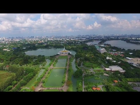 วีดีโอ: ต้นอ่อนนุชสำหรับโซน 9 - ปลูกต้นอ่อนนุชในสวนโซน 9