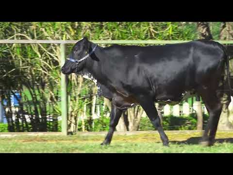 LOTE 141 5806 CR