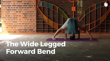Learn the Wide-Legged Forward Bend - Prasarita Padottanasana | Yoga