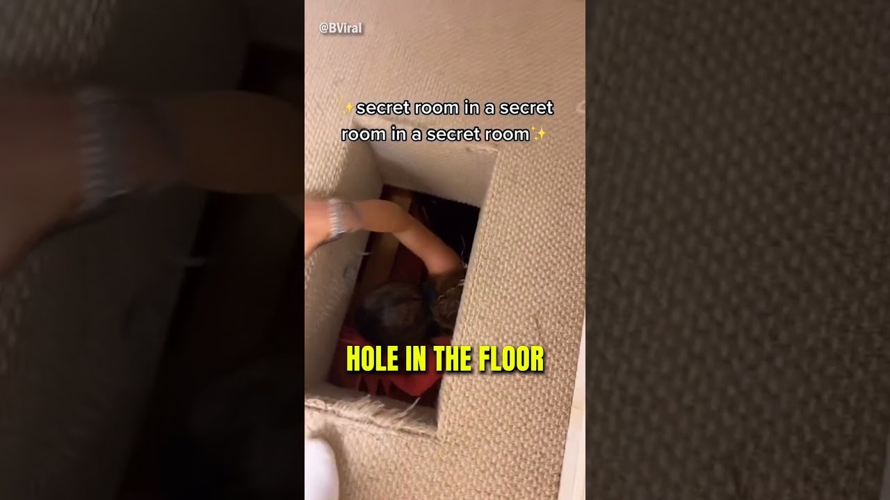 This House Has Multiple Secret Rooms 