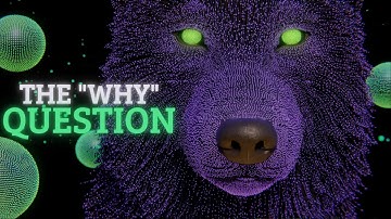 The SECOND You Surrender The "Why", Your Timeline Instantly Splits to Success