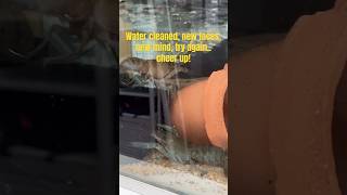 #DreamTrackAI Chill Country