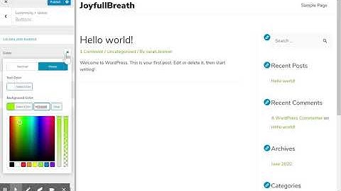 How to customise Container and Buttons of the Astra Theme for WordPress