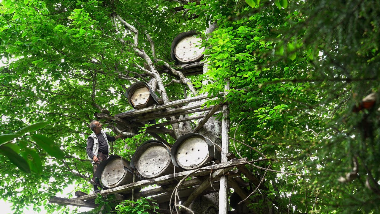 Karakovan (Belgesel) Geleneksel bal üretimine yolculuk