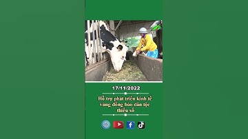 Hỗ trợ phát triển kinh tế vùng đồng bào dân tộc thiểu số #shortsltv