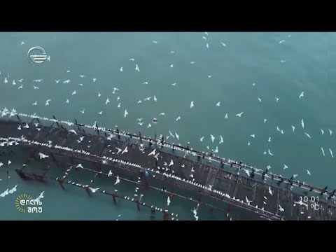 მშობლიურ მხარეზე მოგონებებად დარჩენილი ამბები