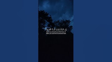 #كروما_قرآن #quran #الشيخ_المنشاوى #اكتب_شي_تؤجر_عليه #راحة_نفسية #تلاوة_هادئة