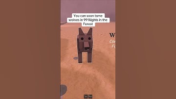 You can soon tame wolves in 99 nights in the Forest