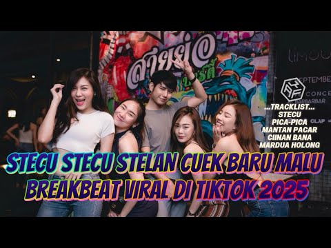STECU STECU STELAN CUEK BARU MALU BREAKBEAT YANG PALING VIRAL DI TIKTOK 2025