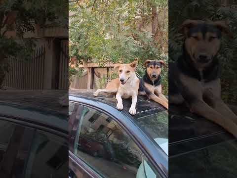 لو سمحت انزل