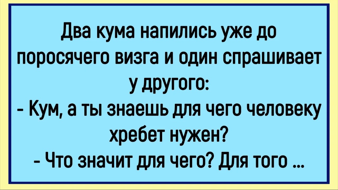 🔥Как Два Кума Напились До Поросячего Визга! Сборник Смешных Анекдотов! Юмор! Позитив!