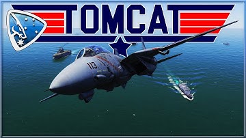 DCS World: F-14B TOMCAT by Heatblur Simulations | First Impressions
