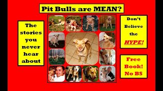 Positive pit bull FREE BOOK - no gimmick.  It's FREE