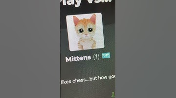 Playing Chess vs Mittens Ruined Me