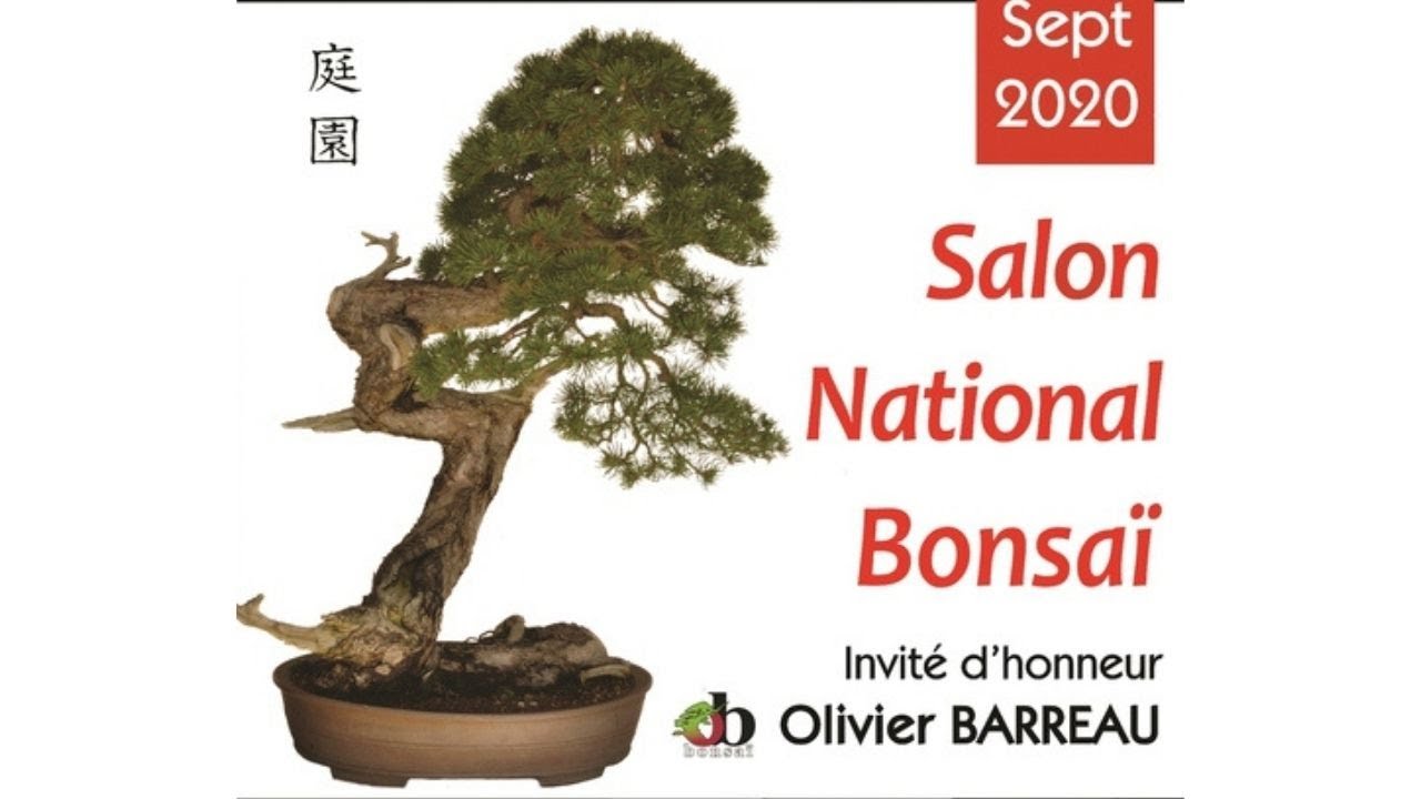 Expo bonsaï YouTube