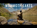 Route 395 Road Trip to Mammoth Lakes and Yosemite -  VLOG Part 1