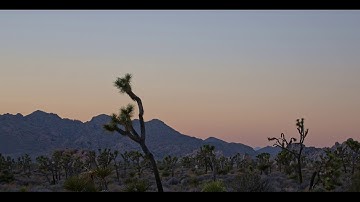 A Weekend in Joshua Tree: Views, Hikes & Desert Vibes