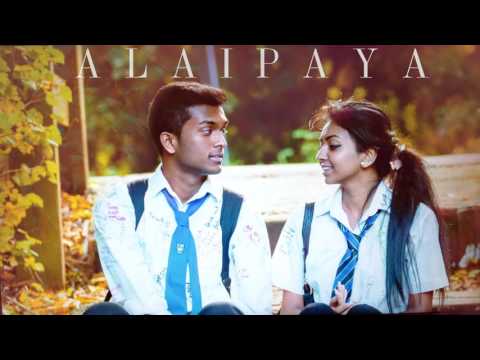 TeeJay - ALAIPAYA (Audio)